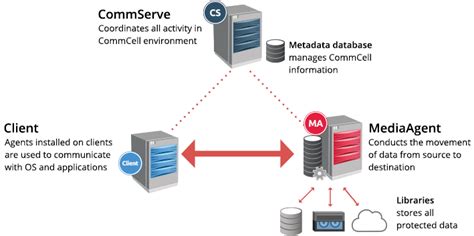 commvault saas backup